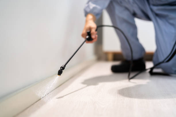 Licensed Termite Control service in Eastpoint, FL - Nex Pest Control