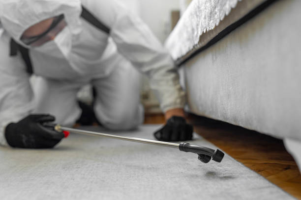 Professional Termite Control technician working in Eastpoint, FL