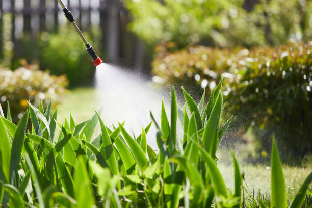 24/7 Emergency Termite Control experts in Eastpoint, FL