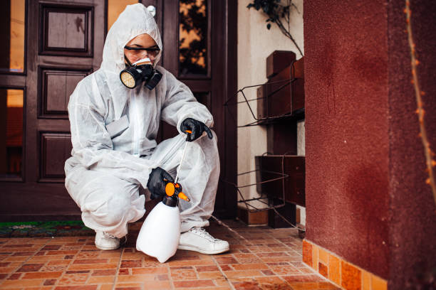 Reliable Termite Control contractor in Eastpoint, FL by Nex Pest Control